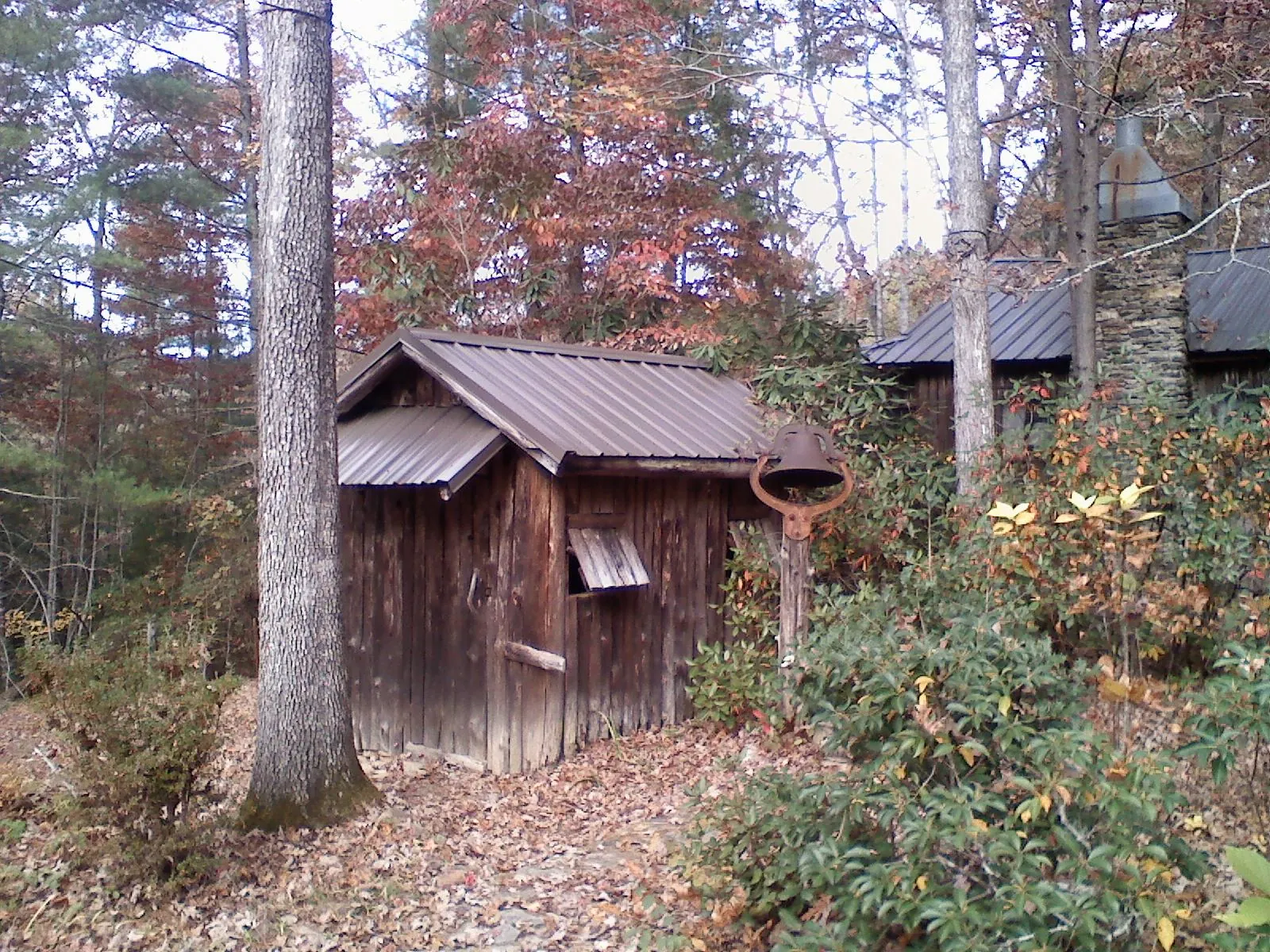 Small metal roof on a rough sawn shed in the woods in New Bloomfield