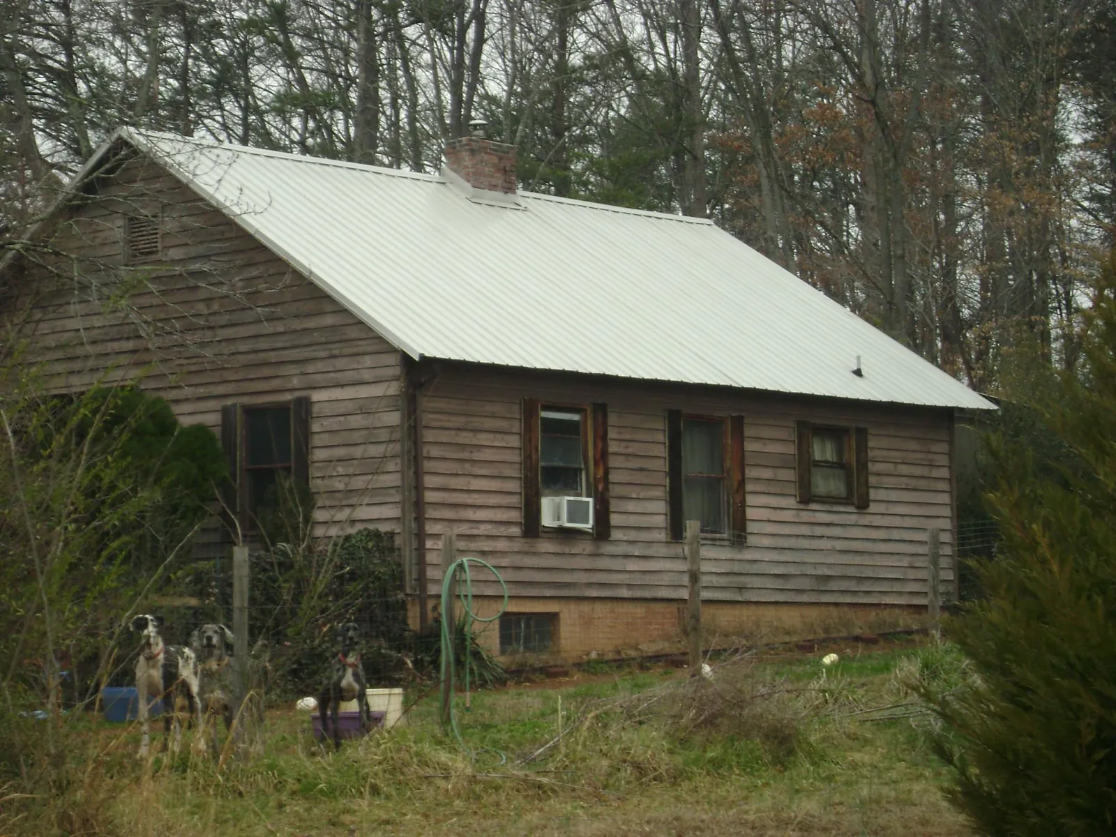 White metal roof on an old wood sided farmhouse, from a Asphalt Shingle Roof Repair job in New Bloomfield